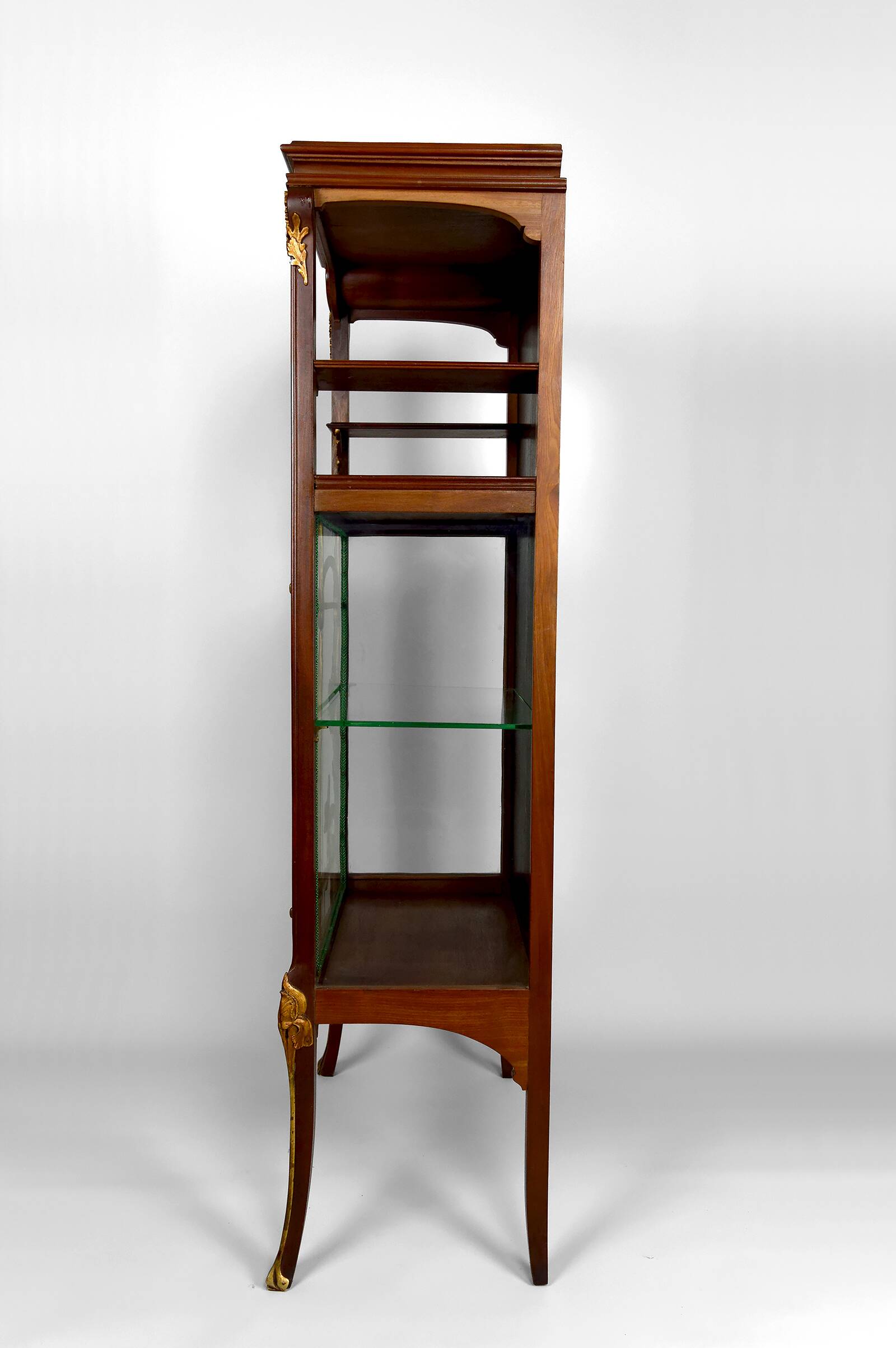 Art Nouveau display case, bronzes and carved wood on a floral theme, circa 1900