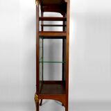 Art Nouveau display case, bronzes and carved wood on a floral theme, circa 1900
