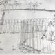 Peter stevenson, lacrosse hyde park, 1972. etching signed in pencil