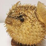 Naturalized Moonfish Lamp, 1950