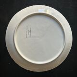 12 fish dinner plates