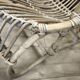 Set of 3 vintage rattan armchairs