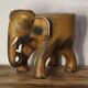 Elephant plant holder