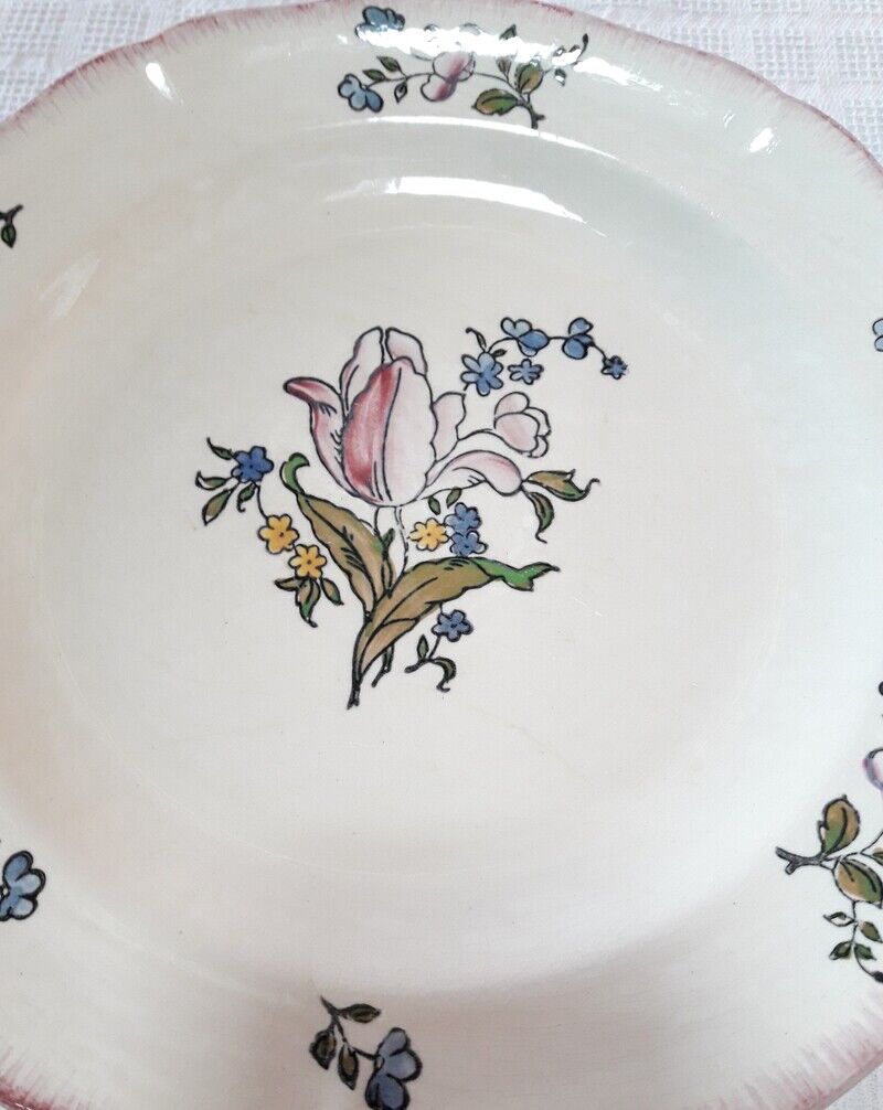 Set of 13 plates Gien earthenware 25cm