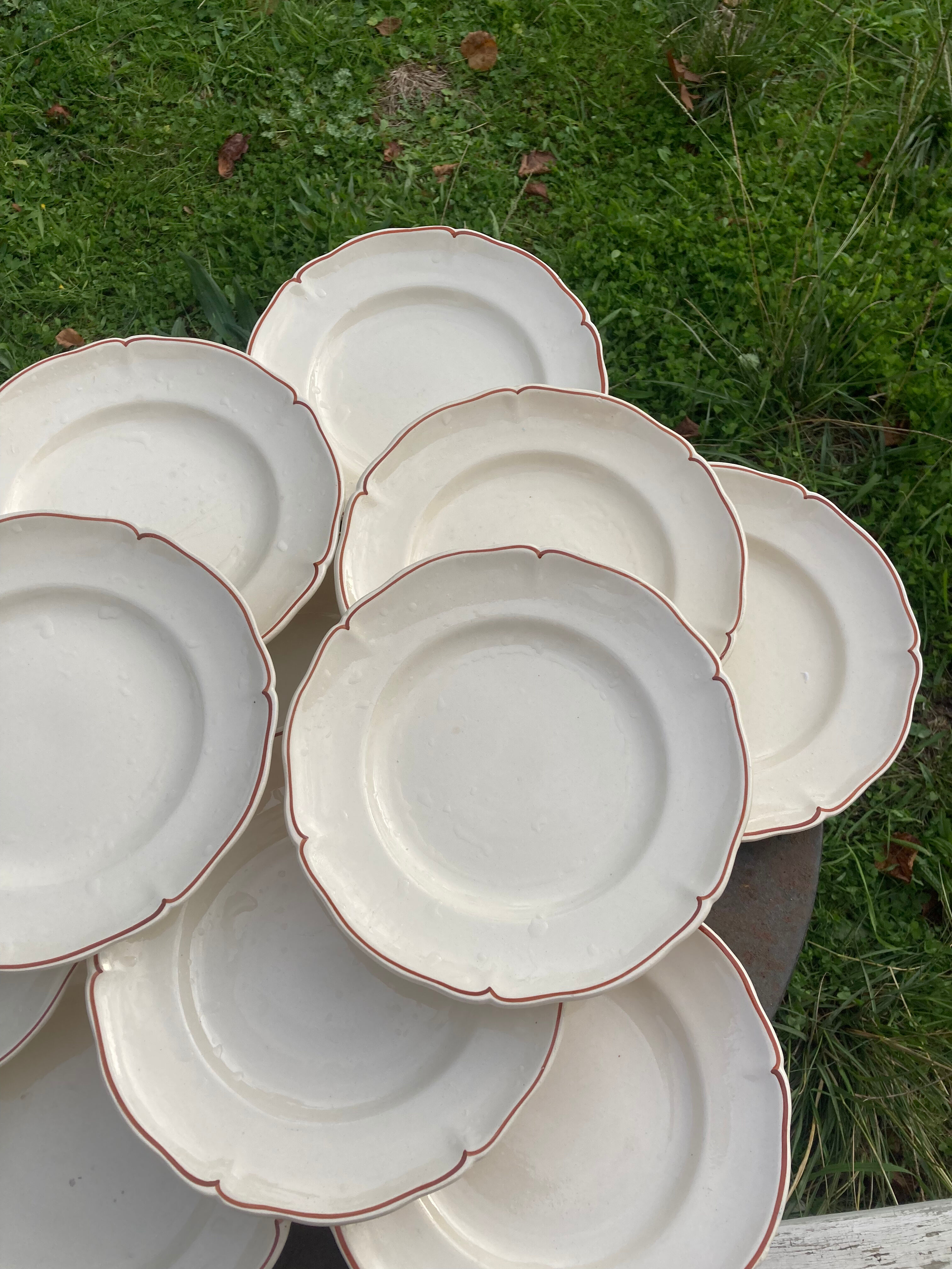 12 white old flat plates with brown fillet