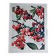 Ancienne affiche sur les cerises
