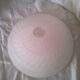 Frosted glass pendant lampshade