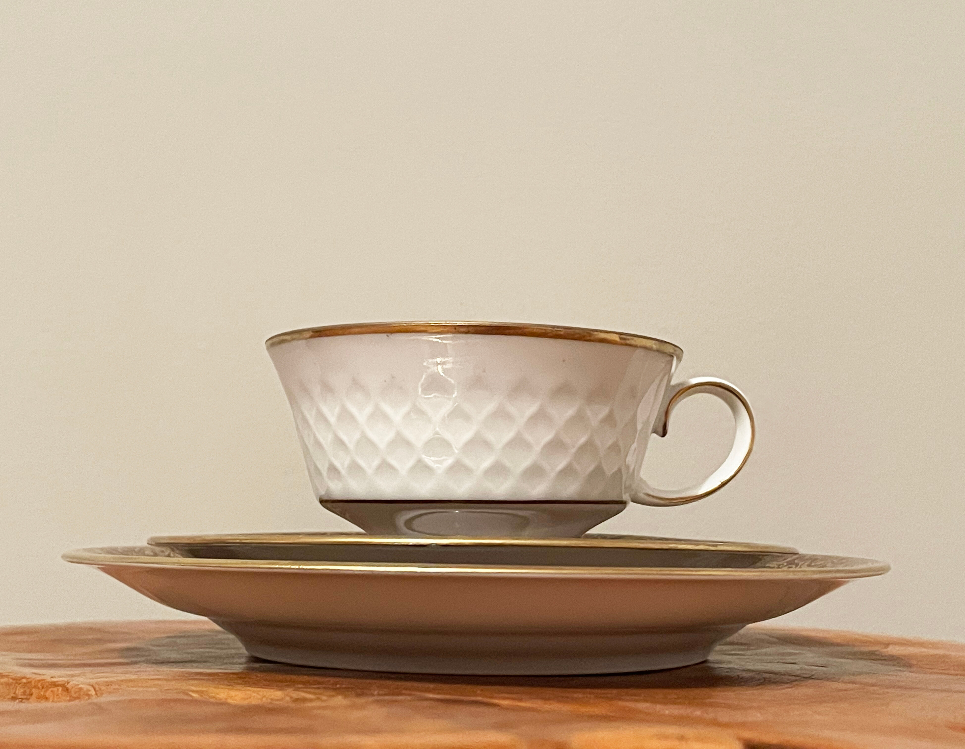 Reichenbach brown teacup trio set with saucer and plate, east-german fine china made in 1968-1990