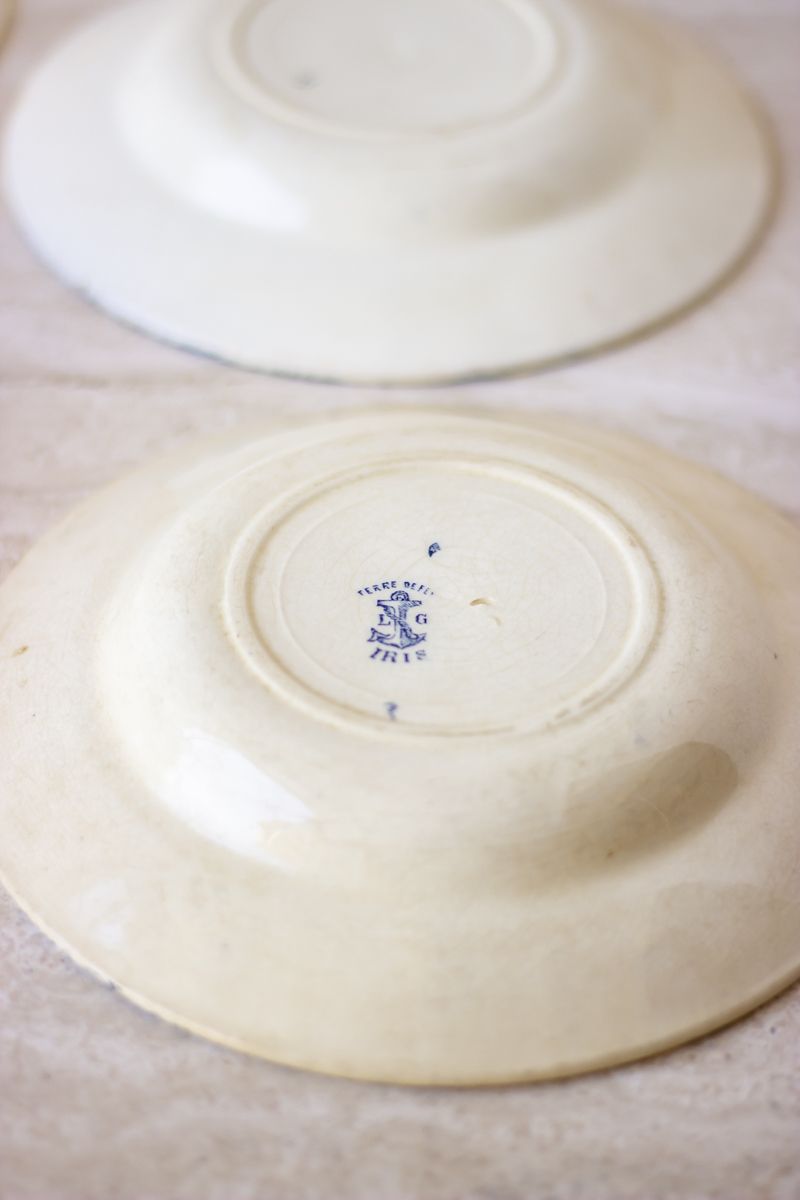 Set of 6 hollow plates earth of iron