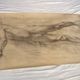 Large drawing of a man signed around 1943 pencil on paper dimensions: height -120cm-