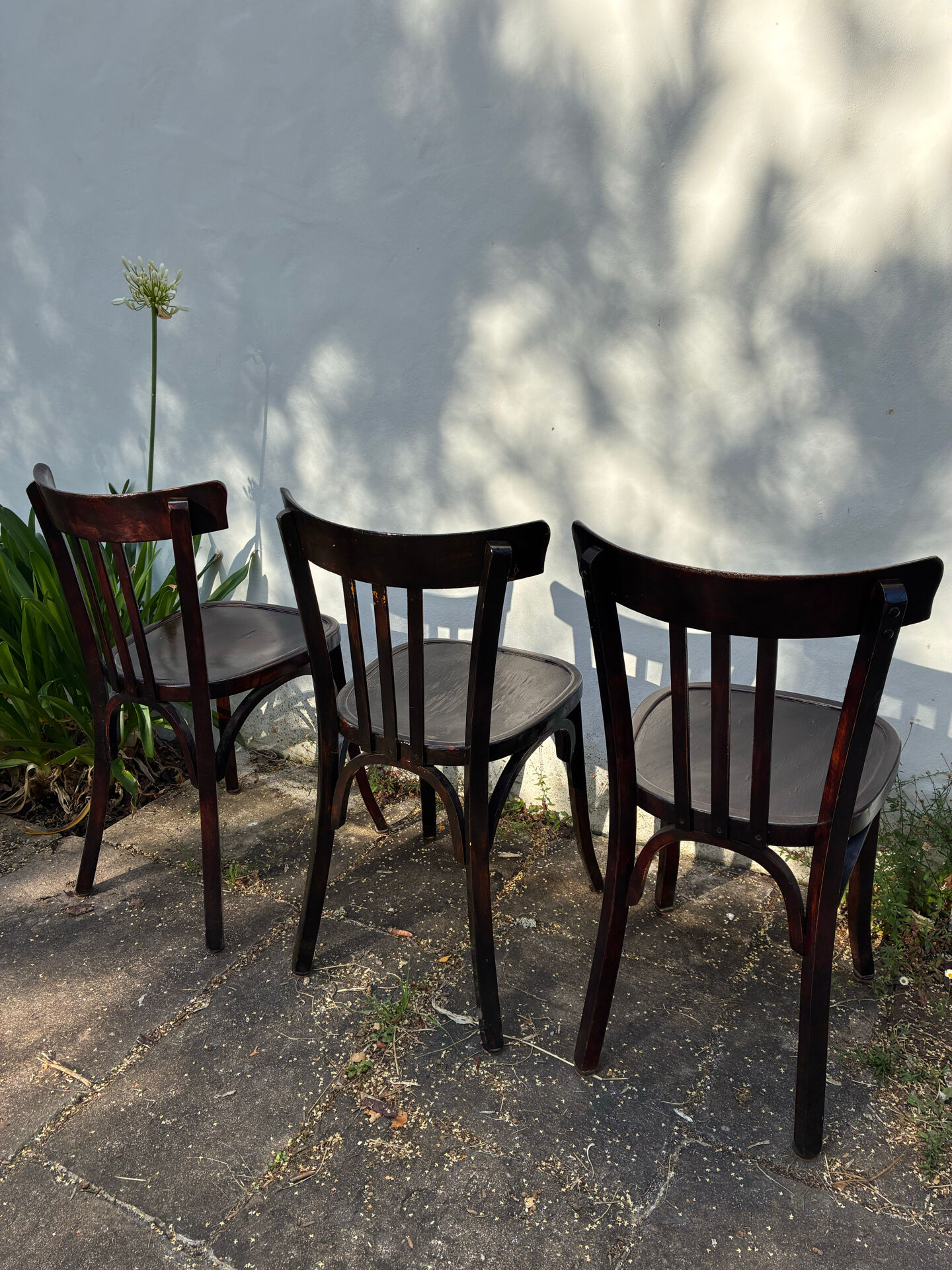 3 chaises bistrot Baumann E32