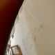 Round mirror beveled 1950