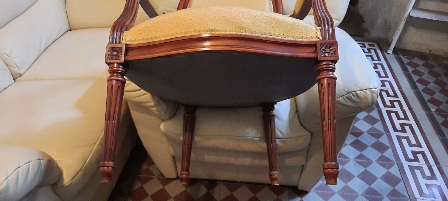 Paire de fauteuils style louis XVI