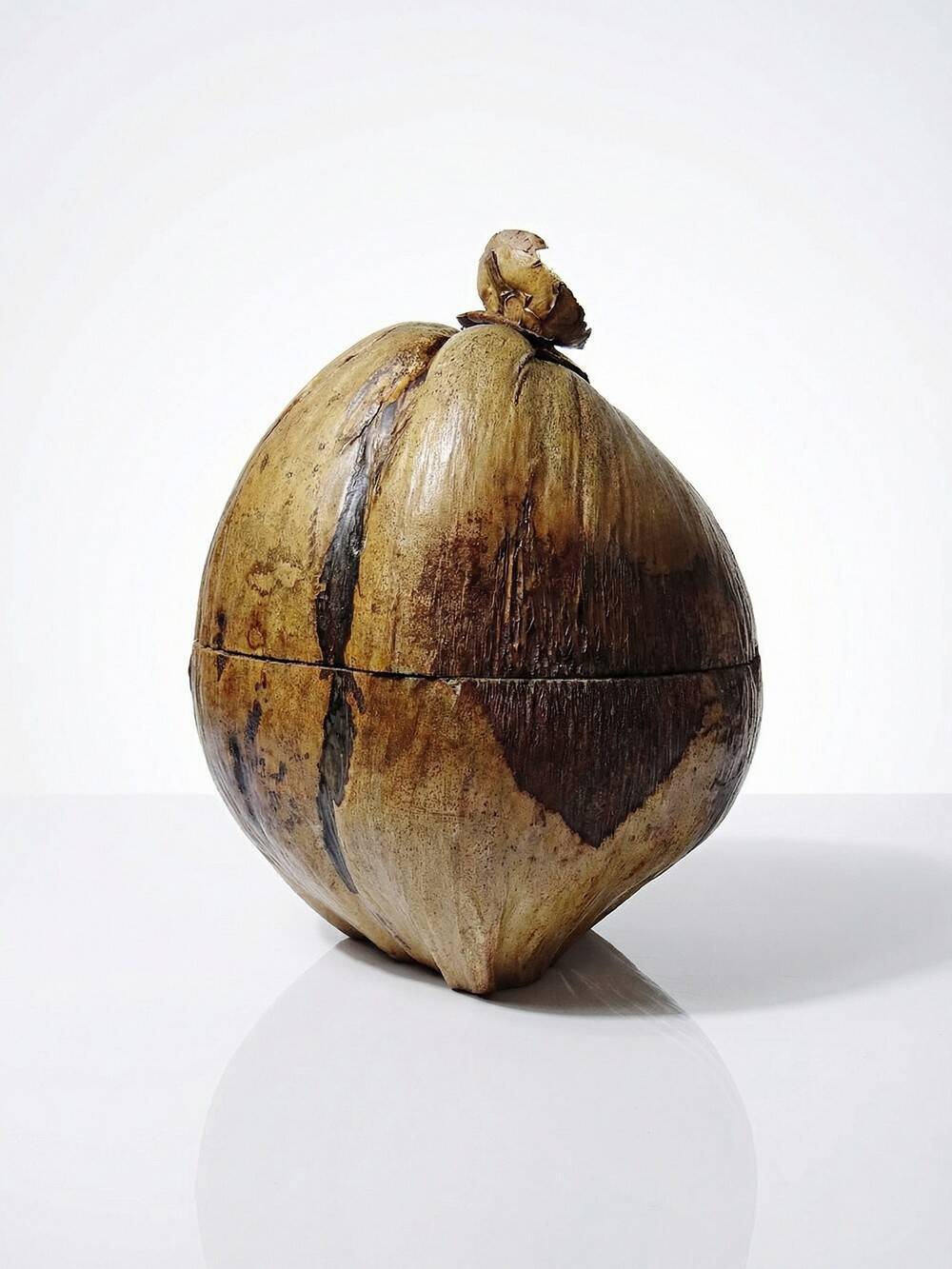Large box/ice bucket curiosity Naturalised African Coconut vintage