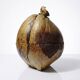 Large box/ice bucket curiosity Naturalised African Coconut vintage