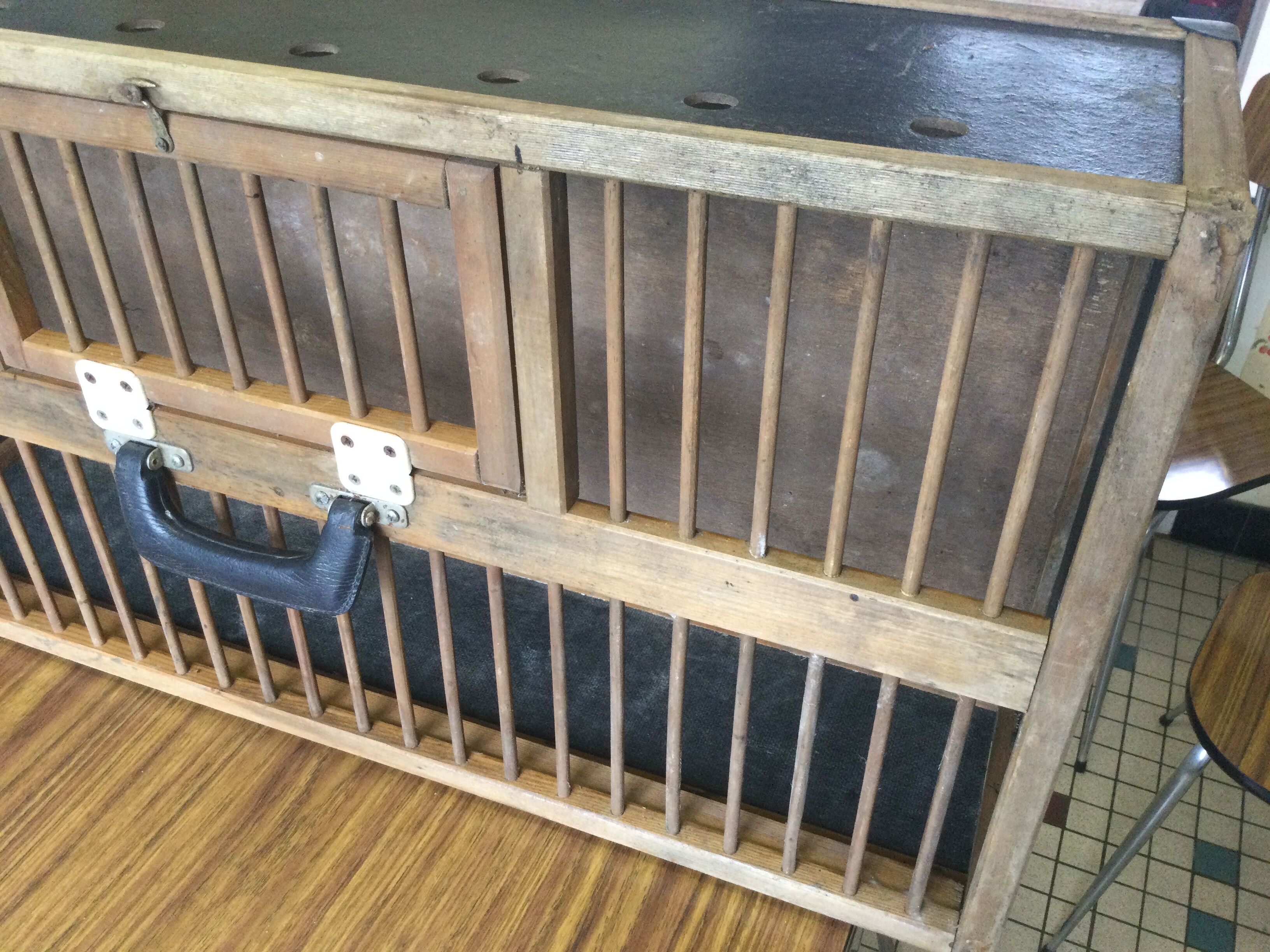 Birdcage