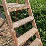 Old oak painter's stepladder