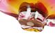 Decorative bowl by J. Hospodka for Chribska Glassworks, Czechoslovakia, 1960s