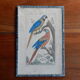 Gravure originale 18ème Buffon