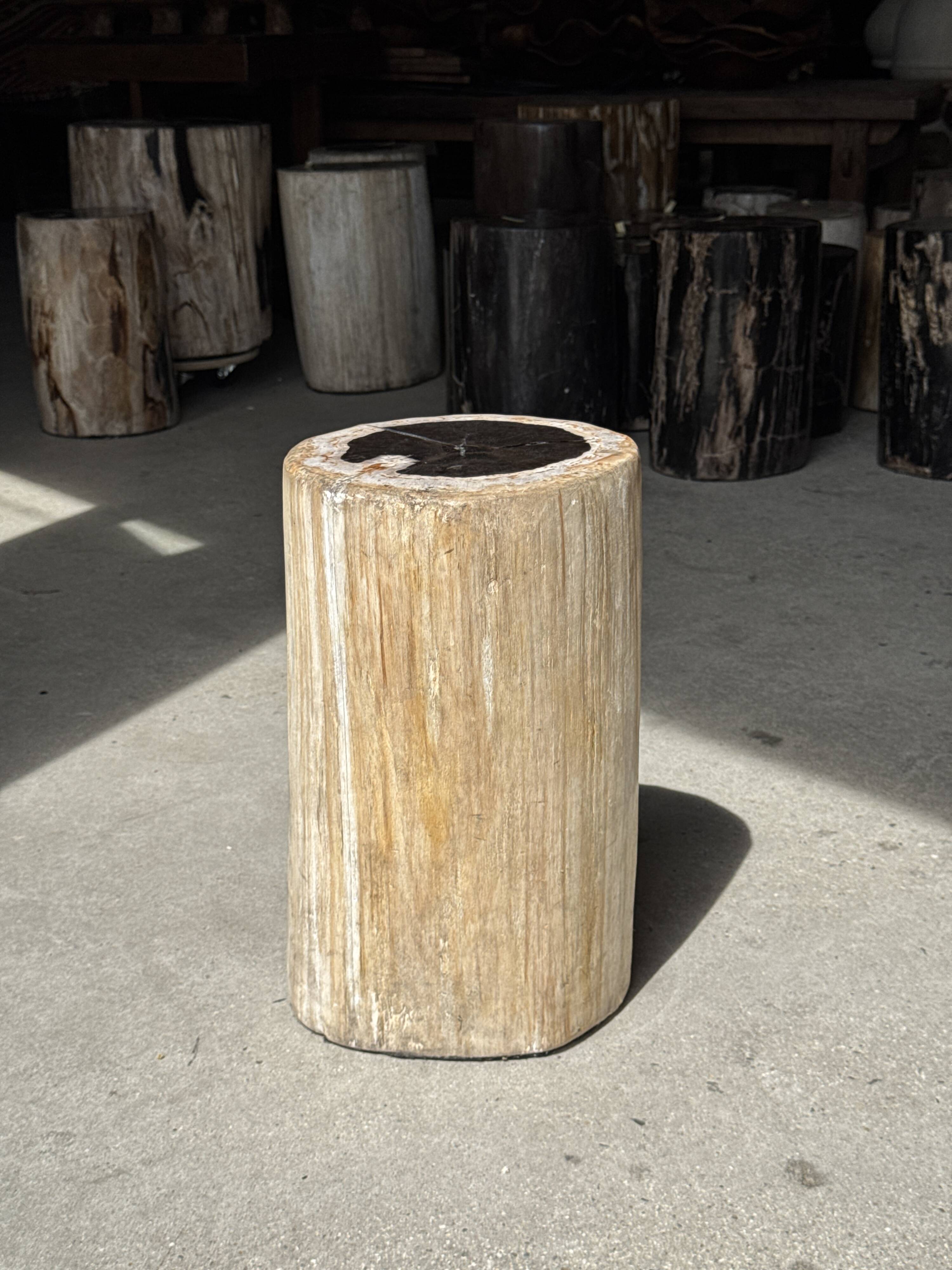 Table d'appoint en bois pétrifié, écorce blanche