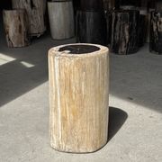 Petrified wood side table, white bark