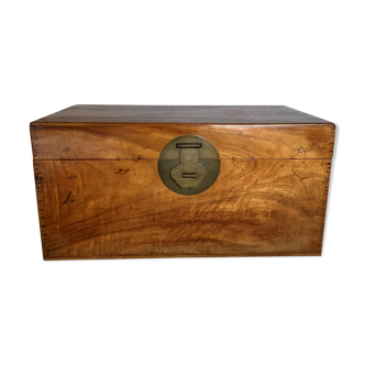 Chinese box in camphrier
