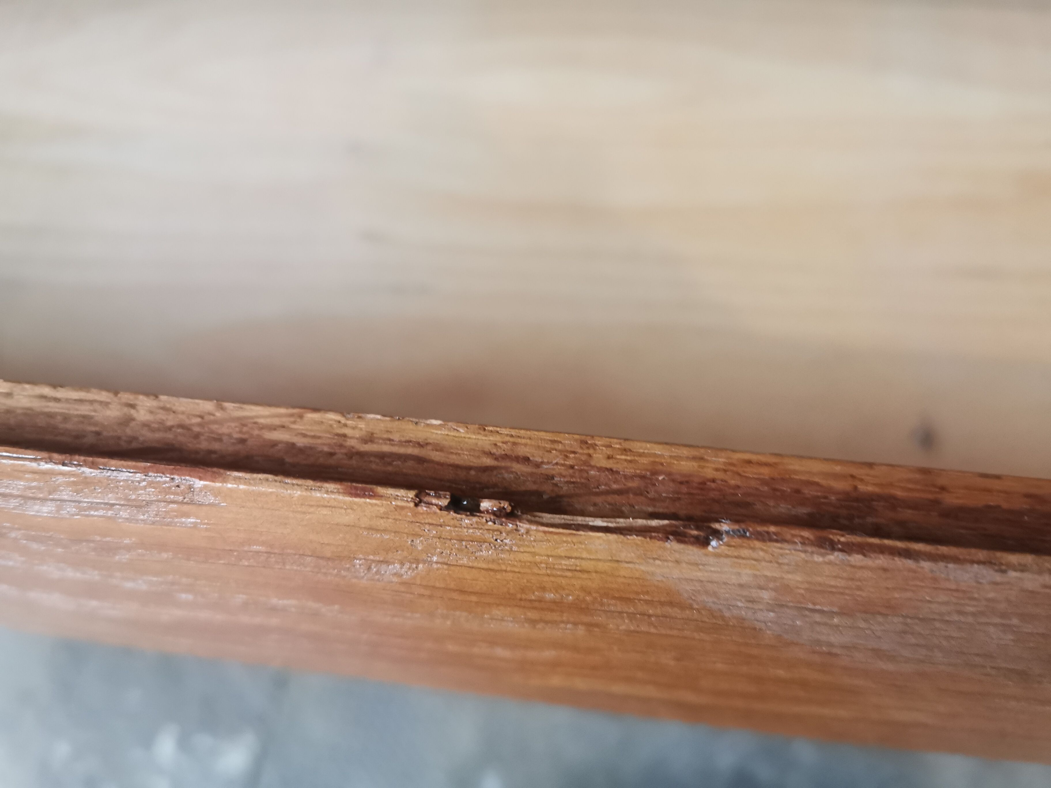 50's chest of drawers, compass feet