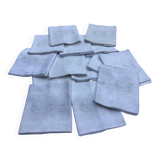 Set of 12 vintage white napkins with lilacs, monogrammed GSS.