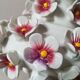 Lampe à fleurs de cerisiers en relief