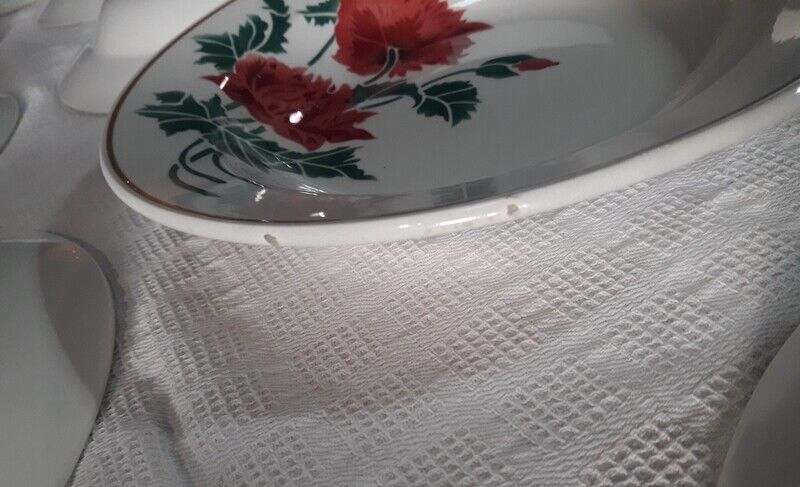 9 hollow plates Luxeuil HBCM flowers and foliage