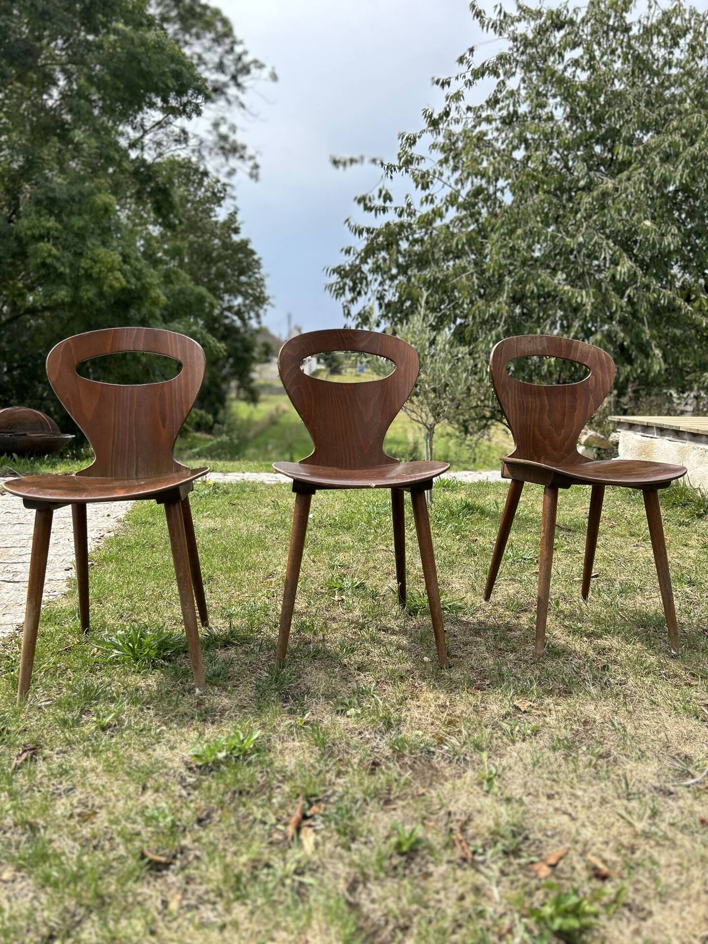 Baumann chair model Ants