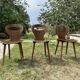 Baumann chair model Ants