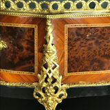 Garden of eventful form Napoleon III era