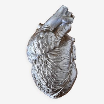 Reproduction of a life-size human heart - Cabinet of curiosities