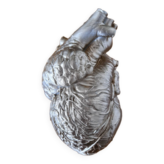 Reproduction d'un cœur humain taille réelle - Cabinet de curiosités