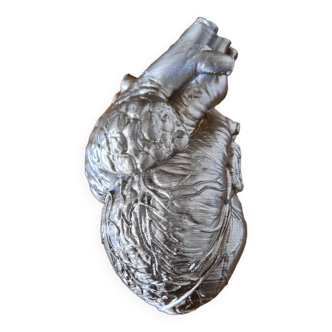 Reproduction of a life-size human heart - Cabinet of curiosities