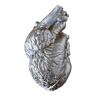 Reproduction d'un cœur humain taille réelle - Cabinet de curiosités