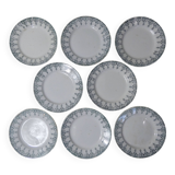 iron earth 8 flat plates