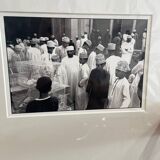 The Bird Market - Oman