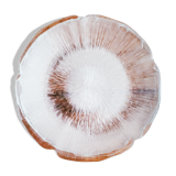 5 assiettes arcoroc fleur