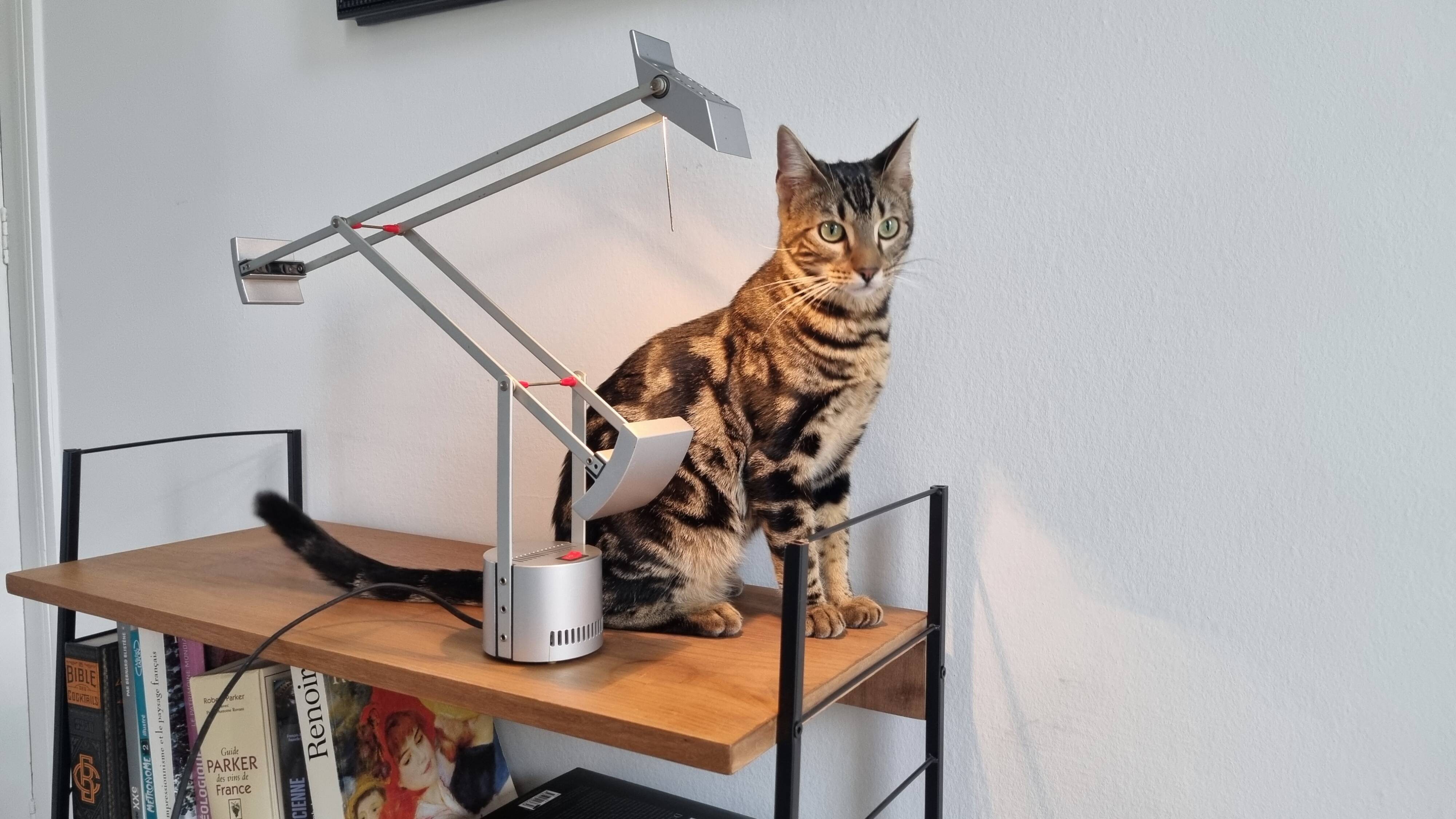 Tizio Micro vintage limited édition metal color