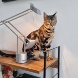 Tizio Micro vintage limited édition metal color