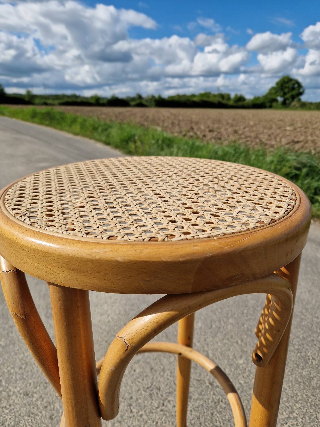 High bar stool in curved wood and cane