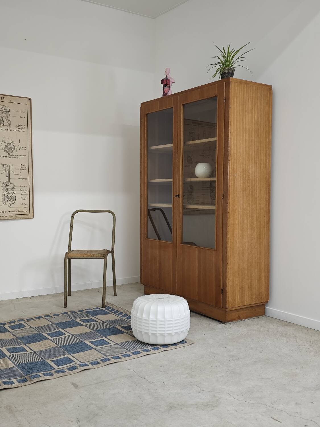 Oak glass-fronted school cabinet 1960