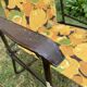 Chaise de camping vintage
