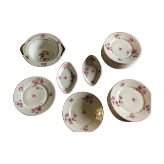 22 assiettes plates  porcelaine de Limoges , fleurs