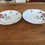 Service dishes and exotic pattern porcelain tureen