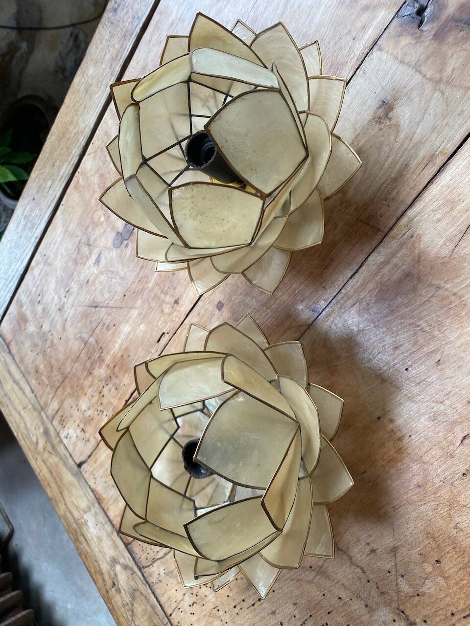 Lotus lamp/wall light from the 80s