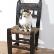 17th-century farmhouse chair with carved motifs – wabi sabi