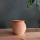 Clay pot